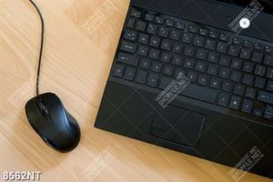 Tranh máy tính laptop 8562NT