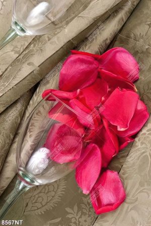 Tranh cánh hoa hồng tươi thắm