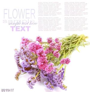 Tranh flower
