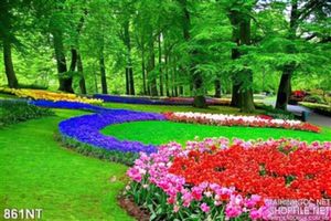 Tranh vườn hoa Keukenhof