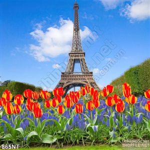Tranh thác eiffell và hoa tulip