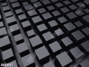 Tranh nghệ thuật 8668NT