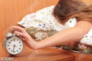 Tranh đồng hồ báo thức 8703NT