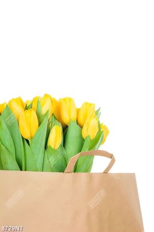 Tranh hoa tulip vàng 8729NT
