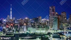 Tranh thành phố lên đèn 8744NT