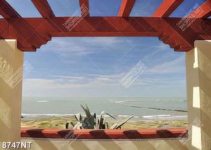 Tranh nhìn ra biển trời trong xanh 8747NT