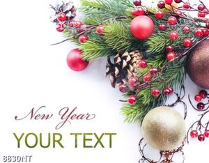 Tranh new year 8830NT
