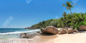 Tranh bãi biển đẹp 8858NT