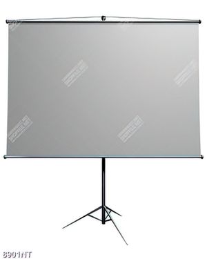 Tranh tấm bảng máy chiếu 8901NT