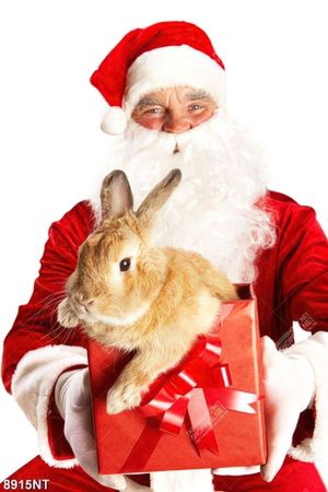 Tranh ông già noel ôm chú thỏ 8915NT