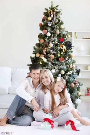 Tranh gia đình đón noel 8916NT