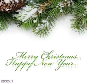 Tranh merry chrismas and happy new year 8932NT