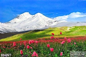 Tranh núi tuyết và hoa