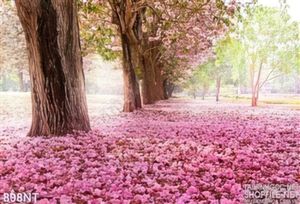 Tranh khu vườn hoa đào