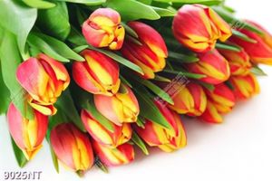Tranh hoa tulip 9025NT