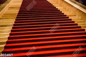 Tranh nấc thang phủ thảm đỏ 9034NT