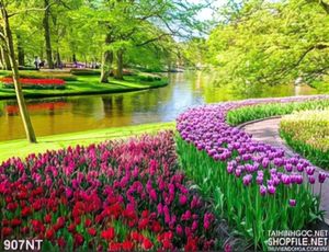 Tranh công viên Keukenhof