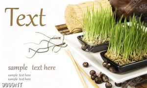 Tranh ươm mầm cây xanh 