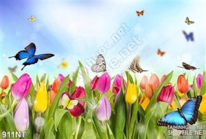 Tranh hoa tulip và bươm bướm