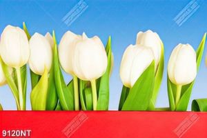 Tranh hoa tulip trắng 9120NT