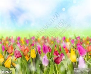 Tranh vườn hoa tulip