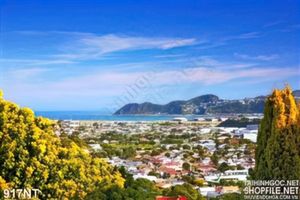 Tranh biển và đất liền
