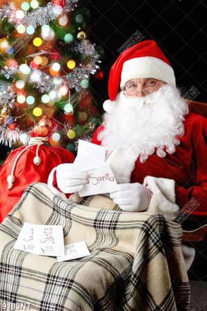 Tranh ông già noel 9183NT