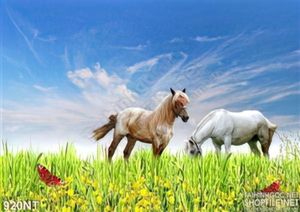 Tranh đôi ngựa trên thảo nguyên