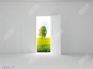 Tranh cánh cửa mở 9227NT