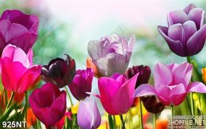 Tranh hoa tulip