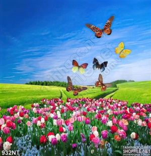 Tranh vườn hoa tulip và bươm bướm