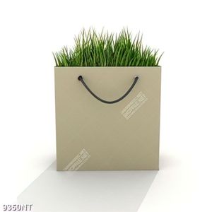 Tranh nghệ thuật túi đựng cỏ xanh 9350NT