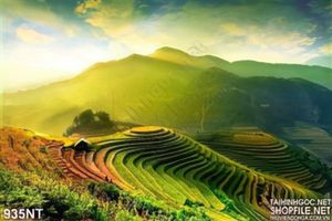 Tranh  phong cảnh ruộng bậc thang Tây Bắc