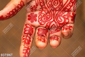 Tranh vẽ Henna tren bàn tay 9375NT