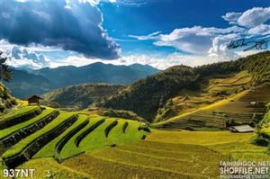 Tranh đồi núi Tâu Bắc