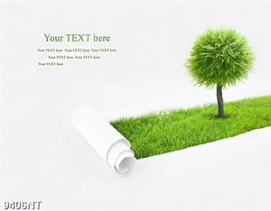 Tranh cỏ xanh 9406NT