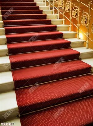 Tranh cầu thang chải thảm đỏ 9441NT