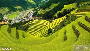 Tranh đồi núi và ruộng bậc thang