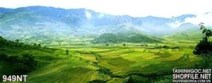 Tranh phong cảnh rừng núi Tây Bắc