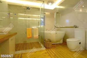 Tranh bathroom