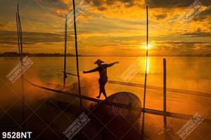 Tranh hoàng hôn vàng trên biển 9528NT