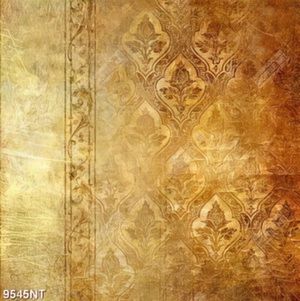 Tranh bức tường cũ 9545NT