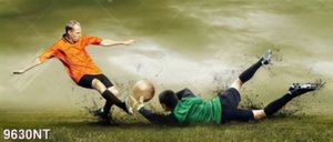 Tranh nghệ thuật đá bóng 9630NT