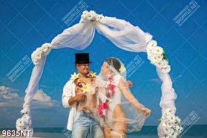 Tranh lễ cưới trên bãi biển