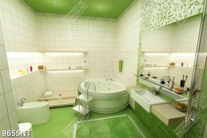 Tranh bathroom 9655NT