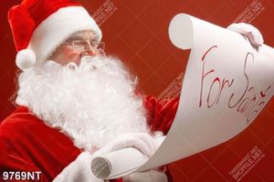 Tranh ông già noel 9768NT