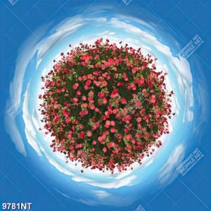 Tranh nghệ thuật quả cầu hoa