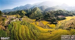 Tranh Tây Bắc Việt nam