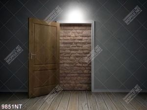 Tranh cánh cửa mở 9851NT