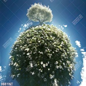 Tranh quả cầu cây xanh 9881NT